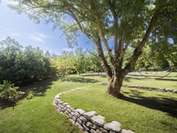 Old trees and landscaped heritage park at Domaine des Périès, South of France