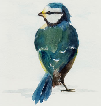 Mésange, oiseau associé à la chambre Mesenga